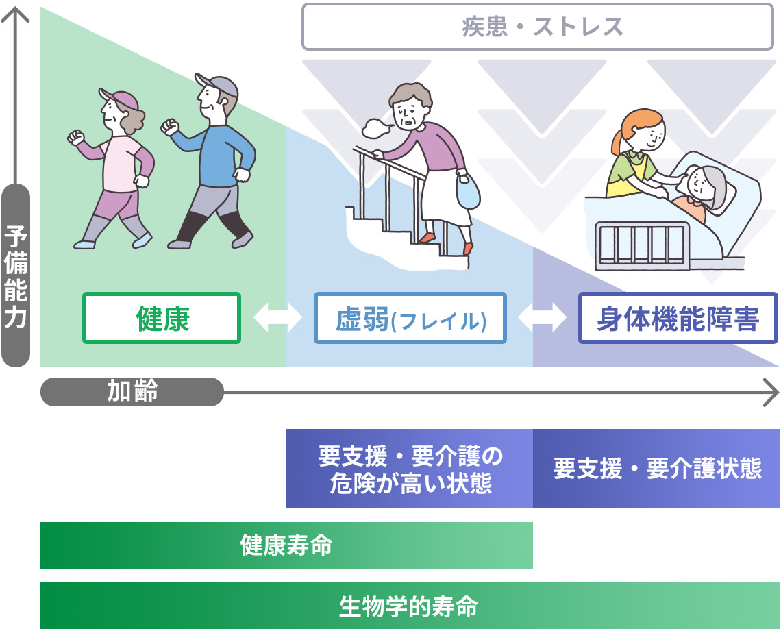 フレイルとなった高齢者への適切な介入による健康状態の図解