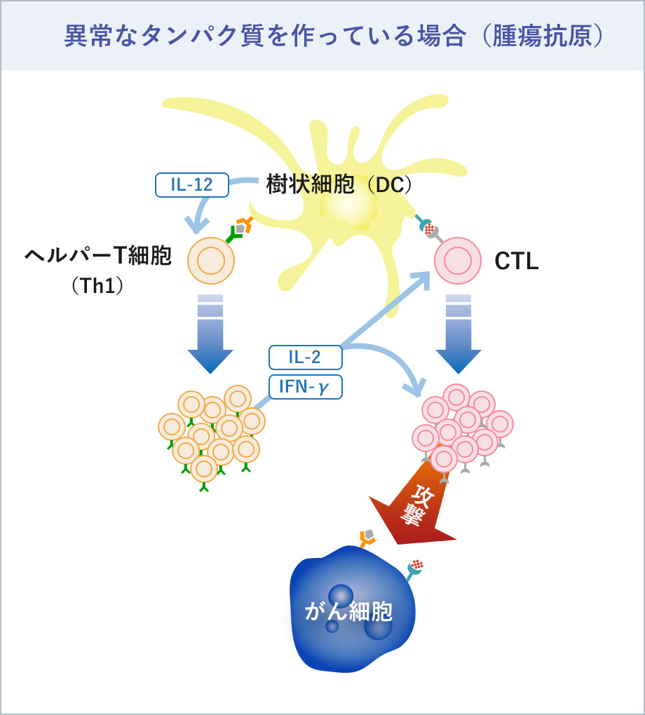 異常なタンパク質を作っている場合（腫瘍抗原）