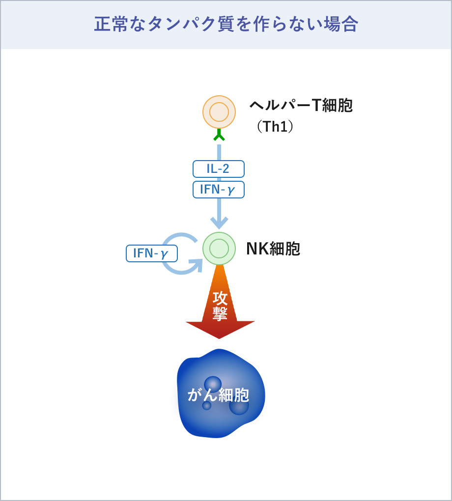 正常なタンパク質を作らない場合